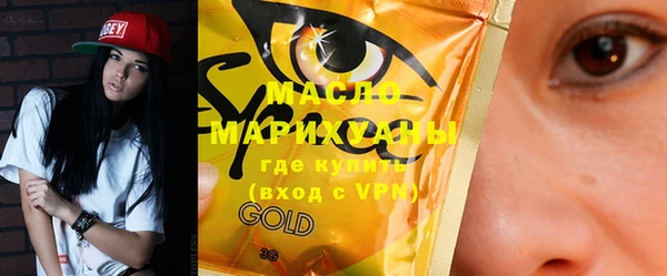 spice Инта