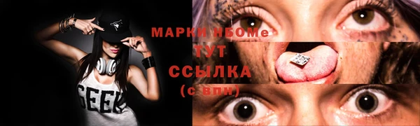 spice Инта