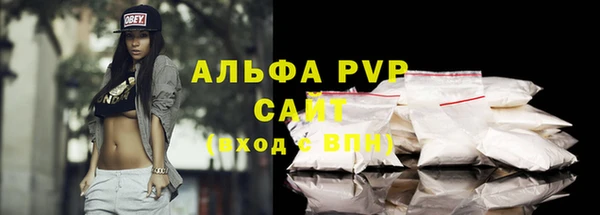 стаф Инсар