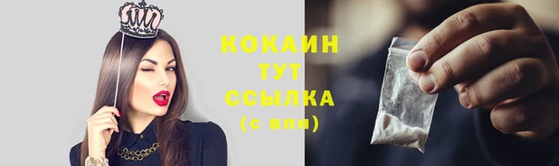 стаф Инсар