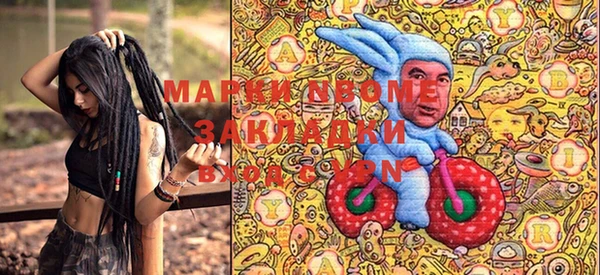 spice Инта
