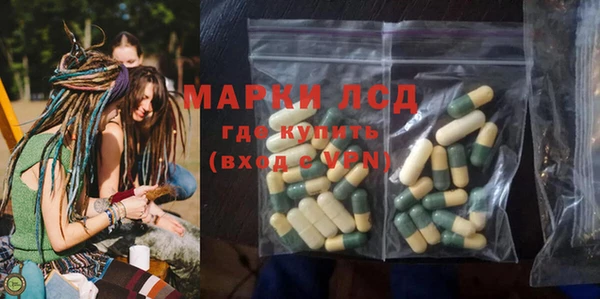 spice Инта