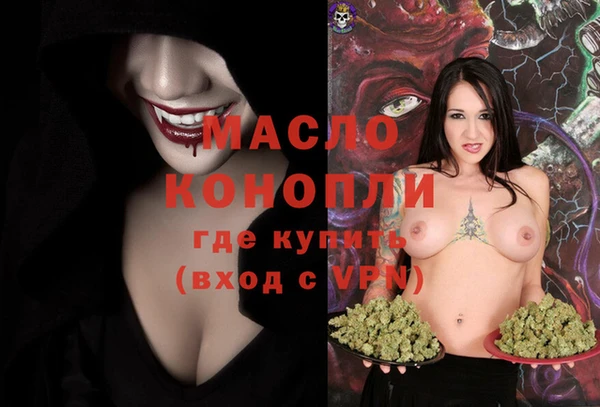spice Инта