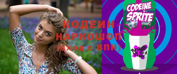стаф Инсар