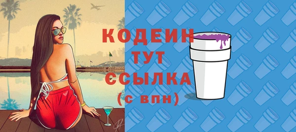 стаф Инсар